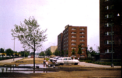 Wortman Avenue Before Pavement